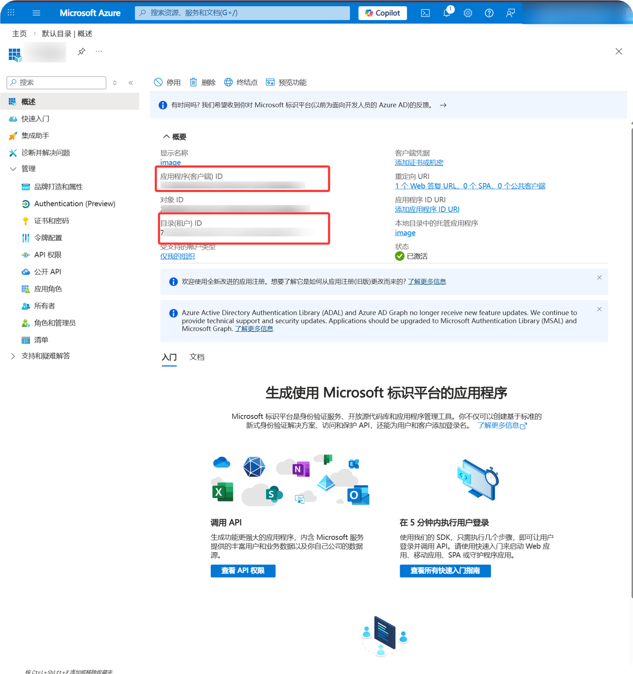 Application and tenant IDs